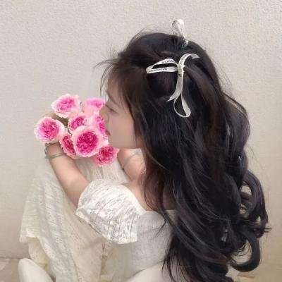 查莉成长日记第四季高清封面
